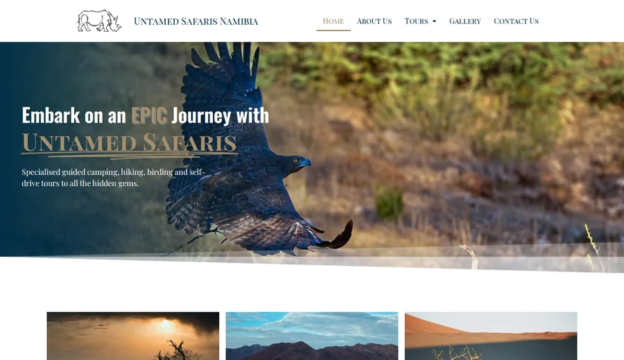 Untamed Safaris Namibia website screenshot